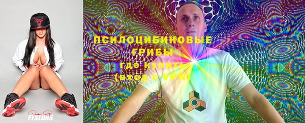 молекула духа Беломорск