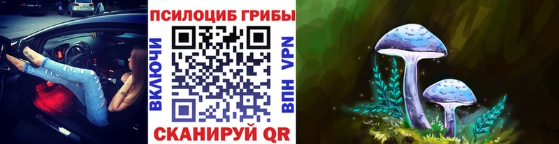 Псилоцибиновые грибы Psilocybine cubensis  дарнет шоп  Горняк 